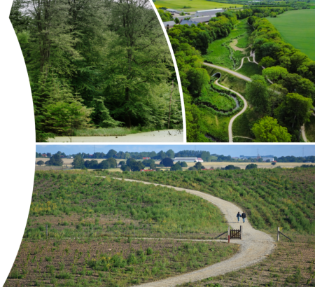 Newly planted forest and older afforestation projects in Aarhus Municipality