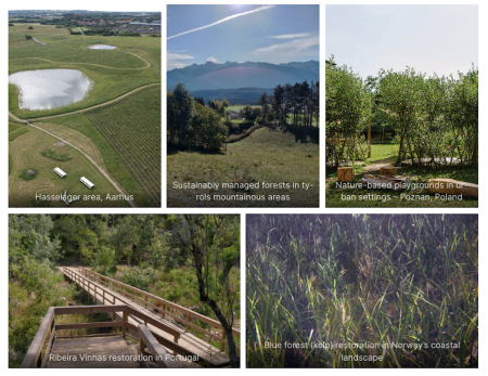 Invest4Nature case studies