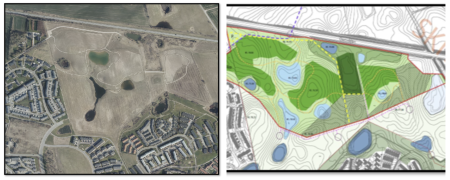 Hasselger wild forest project