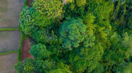 Systemiq Making Natural Capital Count