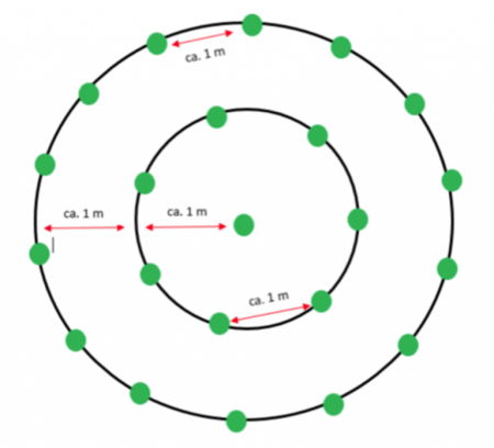 Layout of mixed trees