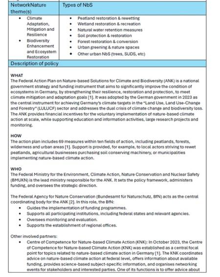 description of policy