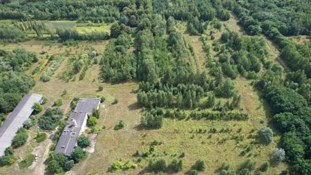 Afforestation in Poznan