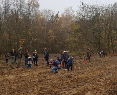 Tree planting in Poznan, Poland