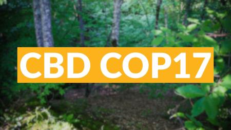 CBD COP17