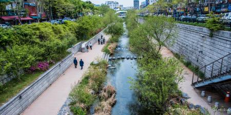 Seoul Greenway comprising a pathway next to a river, the river banks are well vegetated and there is significant planting next to the pathway too.