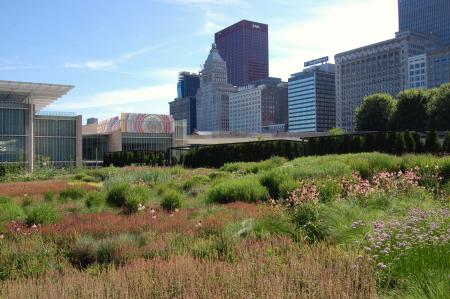 Lurie Garden in Chicago's Millennium Park By JR P CC2.0