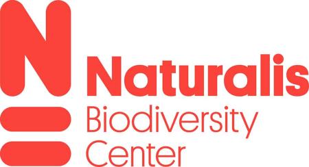 Naturalis logo - big N in red underlined twice