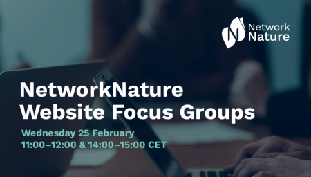 Website Focus Groups - graphic with person using laptop in background