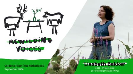 thumbnail for rewilding voices