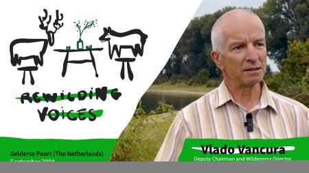 rewilding voices thumbnail