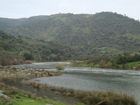 The Sabor river with a wooded hill behind.