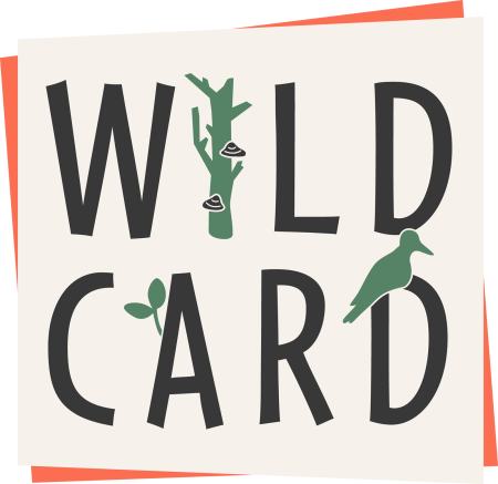 WILDCARD project logo.