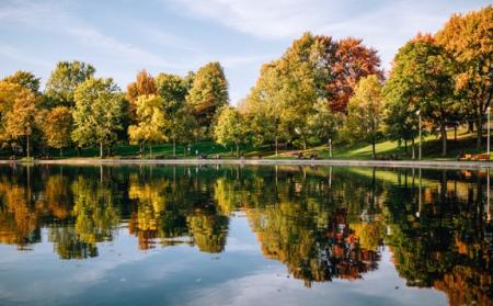 NBS Simulation Visualisation Tool