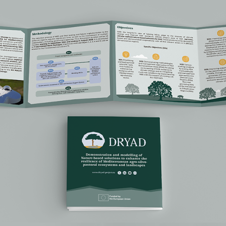 DRYAD Brochure mockup 