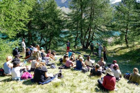 group of people sitting on a grass in the forest on a sunny day