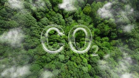Aerial view of forest with CO2 superimposed over the top.