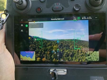 Looking through a camera screen at an image of a forest.