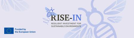 rise-in banner
