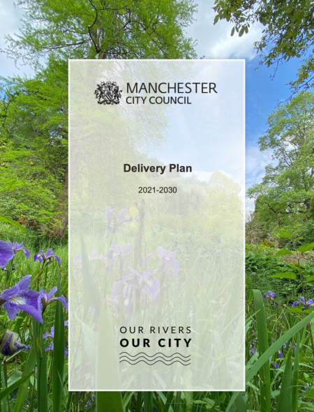 delivery plan cover