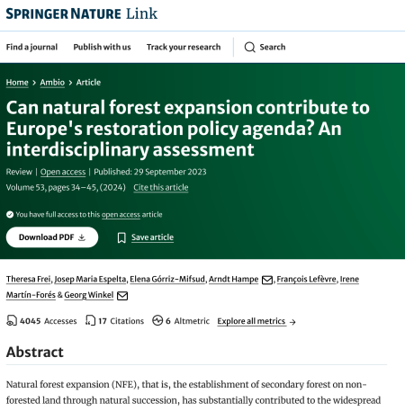 Screenshot of the title of the paper in the online journal.