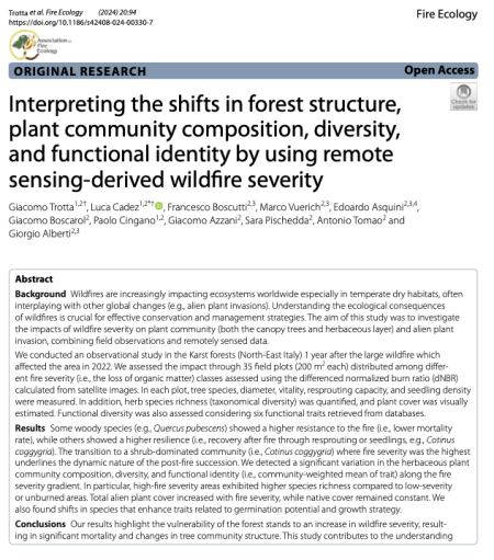 interpreting shifts on forest structure 