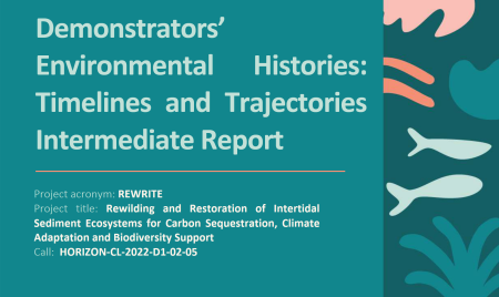 Screenshot of the cover of the report.