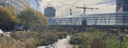 nature banner nbs in city