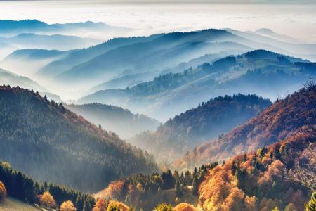 Mountain slopes covered in forest and shrounded in mist.