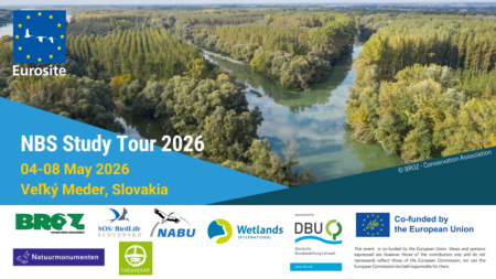 Event card flyer with river and trees.