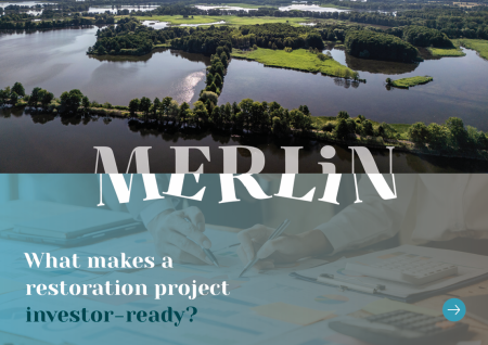  Report front cover - Merlin logo over images