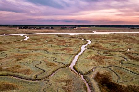 A tidal mudflat with the tide out showing all of the tidal channels.