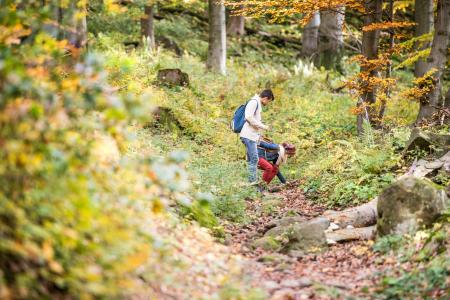Two people on a woodland path, one person is looking down at the other person crouched down looking at something.