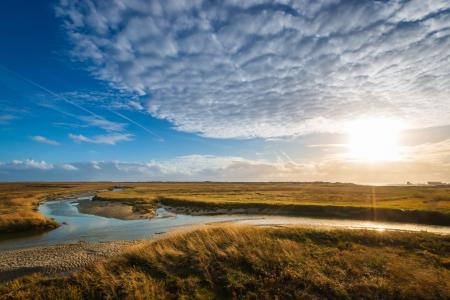 Sun shining over a saltmarsh with grass hummocks and water in channels.