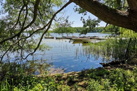 View of the lake from shore