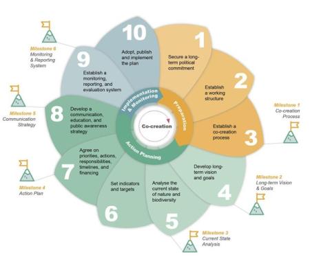 UNP 10 Steps Overview