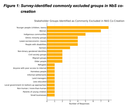 Figure 1: Survey-identified commonly excluded groups in NbS co- creation