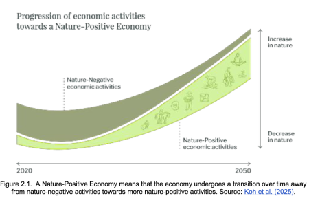 Figure 2.1. A Nature-Positive Economy means that the economy undergoes a transition over time away from nature-negative activities towards more nature-positive activities. Source: Koh et al. (2025).