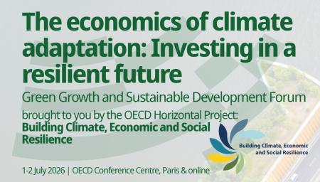 Light background with the title "The economics of climate adaptation: Investing in a resilient future"