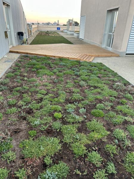 green roof example - agrobiotech