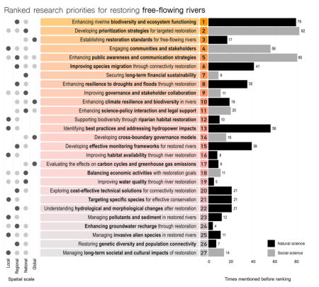 Fig. 3 | Final ranking of the 27 research priorities for restoring free-flowing rivers, arranged from highest rank (top) to lowest (bottom).