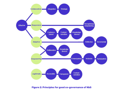 figure 2 Principles for good co-governance of NbS