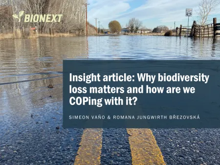 insight article