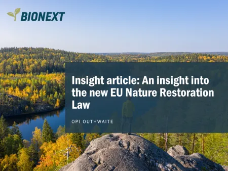 insight article cover