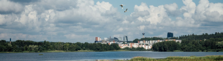 city blues banner image - credit Henrietta Soininen
