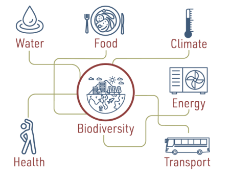 biodiversity nexus