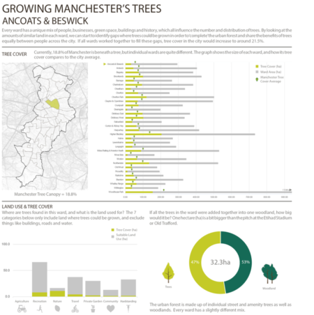 growing manchester's trees infographic