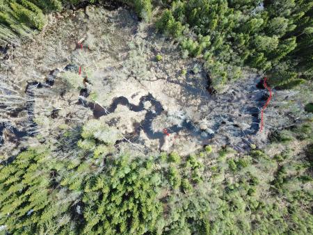 A river inhabited by beavers aerial view