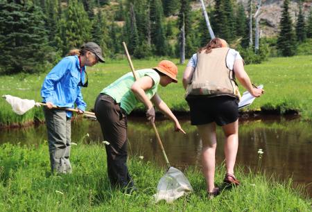 Citizen Science Volunteers 