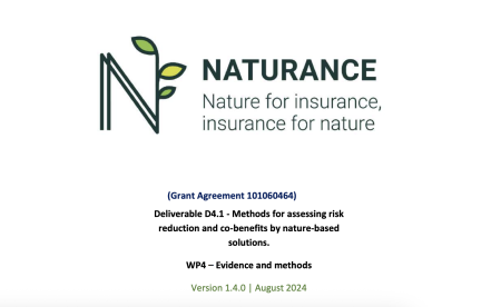 Methods for assessing risk reduction and co-benefits by nature-based solutions